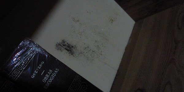 after_the_rain_3
